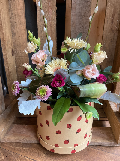 Ladybird - Spring flowers arranged in a large hat box