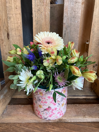 Pretty Birds - Beautiful seasonal flowers arranged in a ceramic pot.