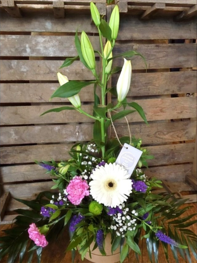 Wonderful - A great scent from the lillies with a touch of pink and purple.

 

Each and every display is one-of-a-kind, created by an artisan florist using the most beautiful and fresh stems available on the day so, whilst your gift may look different to the one pictured, we do guarantee that your specific arrangement will be fresh, beautiful and that your recipient will love it!