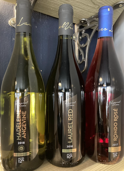 Laurel Vines Vineyard - A fabulous collection of wines from Yorkshire, suitable for any occasion.Madeleine Angevine 12% VolLaurel Red 10% VolRondo rose 11% Vol
