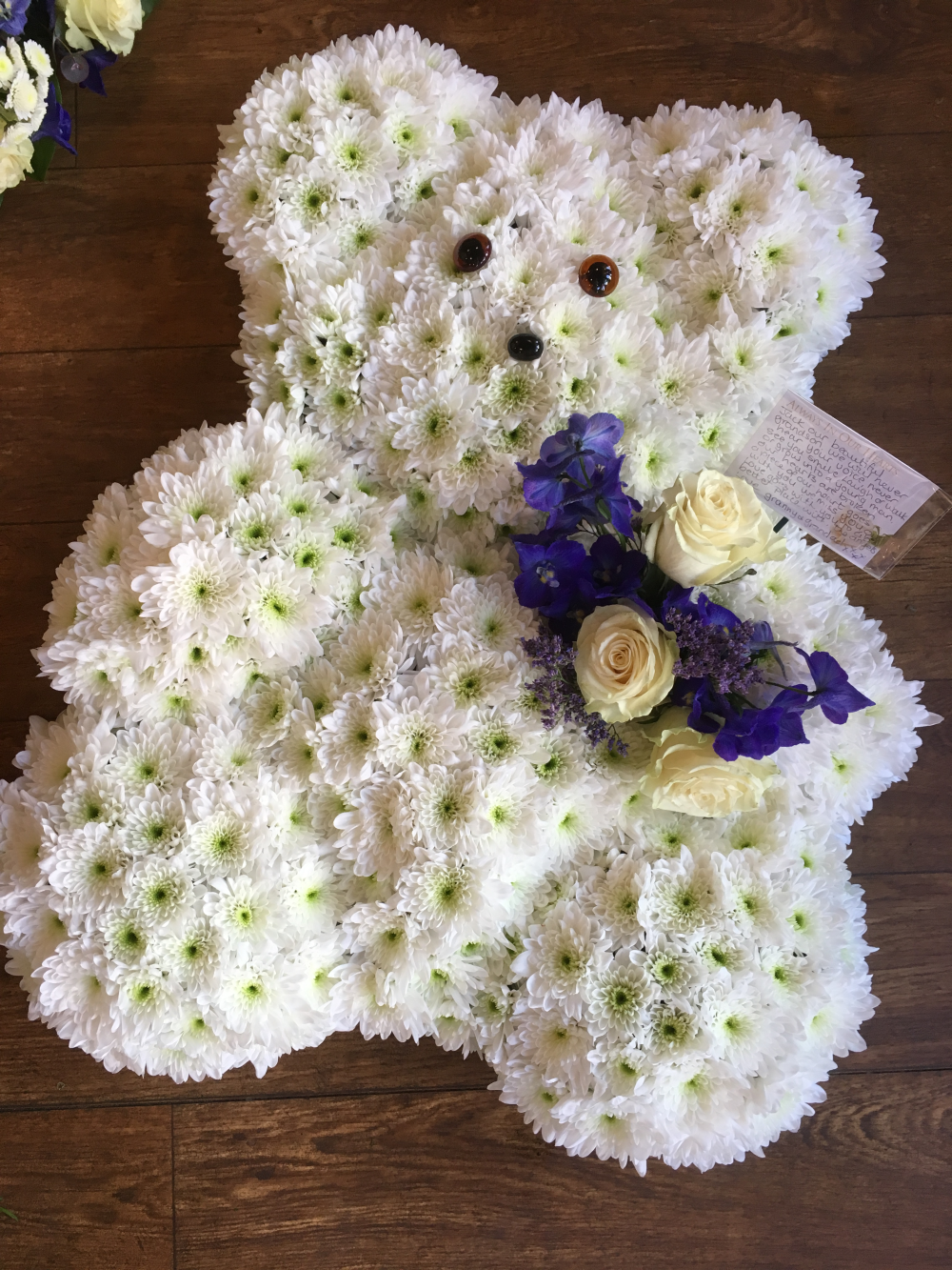 Teddy Tribute